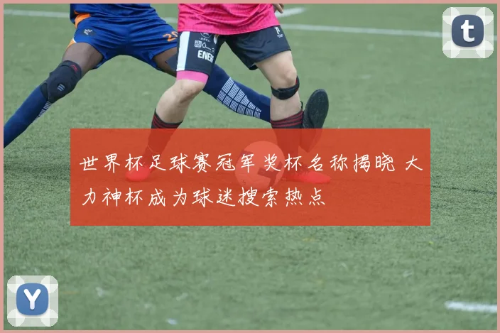 世界杯足球赛冠军奖杯名称揭晓 大力神杯成为球迷搜索热点